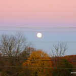 November moon